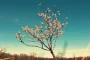 HOROSKOP ZA APRIL 2022