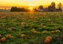 HOROSKOP ZA OKTOBER 2022